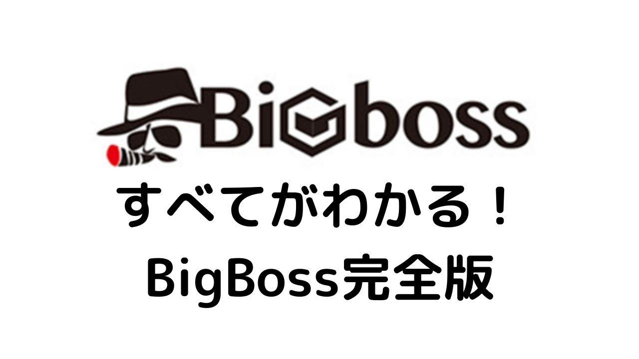 BigBoss すべてがわかる！ BigBoss完全版